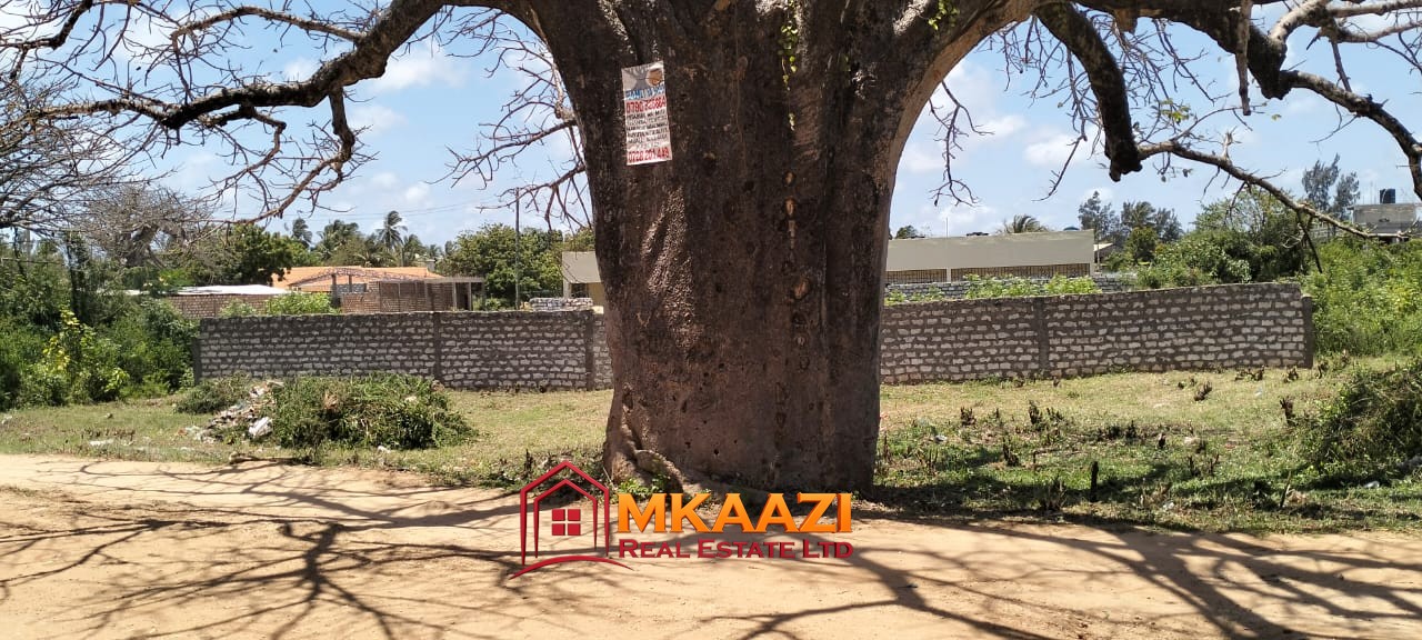 50×100 Plot for Sale in Malindi Off Casuarina Road – KSh 2.65 Million