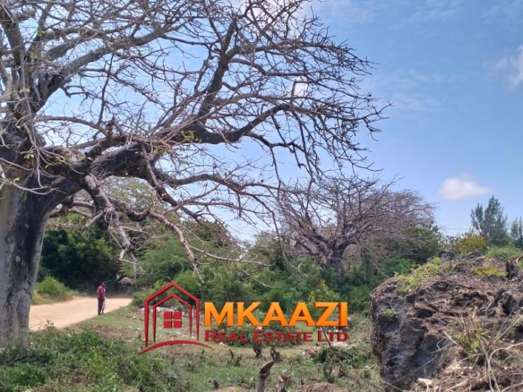 50×100 Plot for Sale in Malindi Off Casuarina Road – KSh 2.65 Million