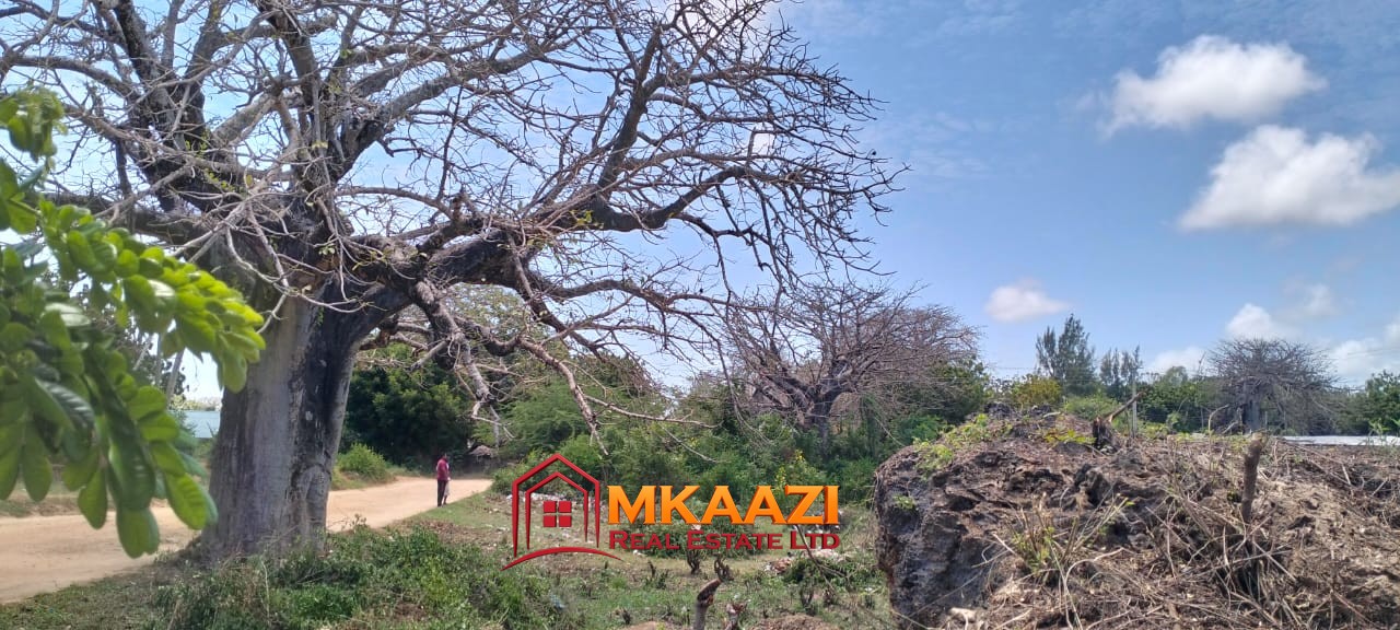 50×100 Plot for Sale in Malindi Off Casuarina Road – KSh 2.65 Million