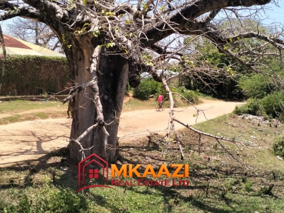 50×100 Plot for Sale in Malindi Off Casuarina Road – KSh 2.65 Million