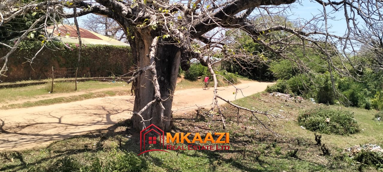 50×100 Plot for Sale in Malindi Off Casuarina Road – KSh 2.65 Million