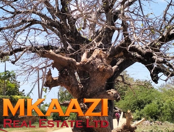50×100 Plot for Sale in Malindi Off Casuarina Road – KSh 2.65 Million