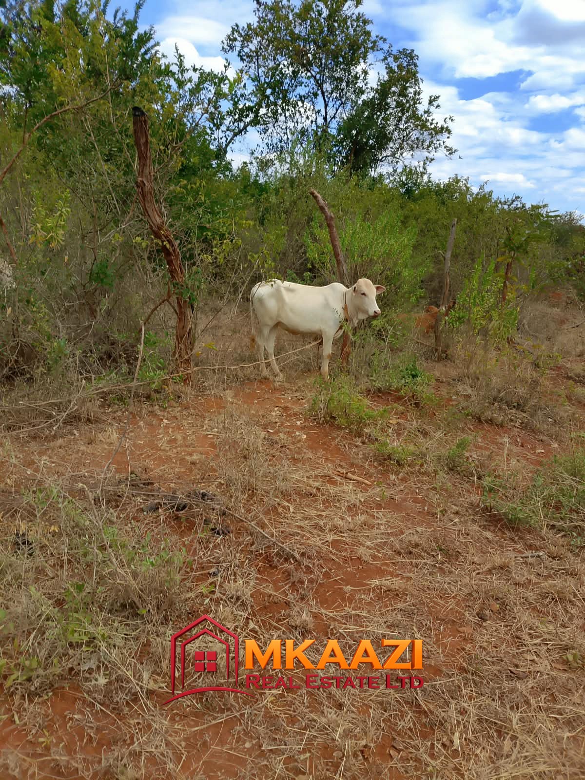 0.25 Acre land for sale redsoil in EMbu, Gachoka