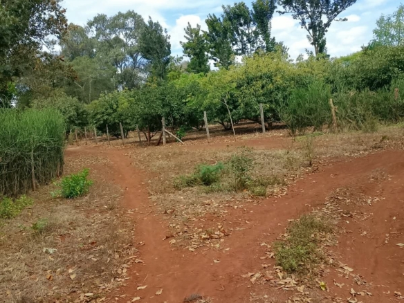 0.25 Acre land for sale redsoil in EMbu, Gachoka