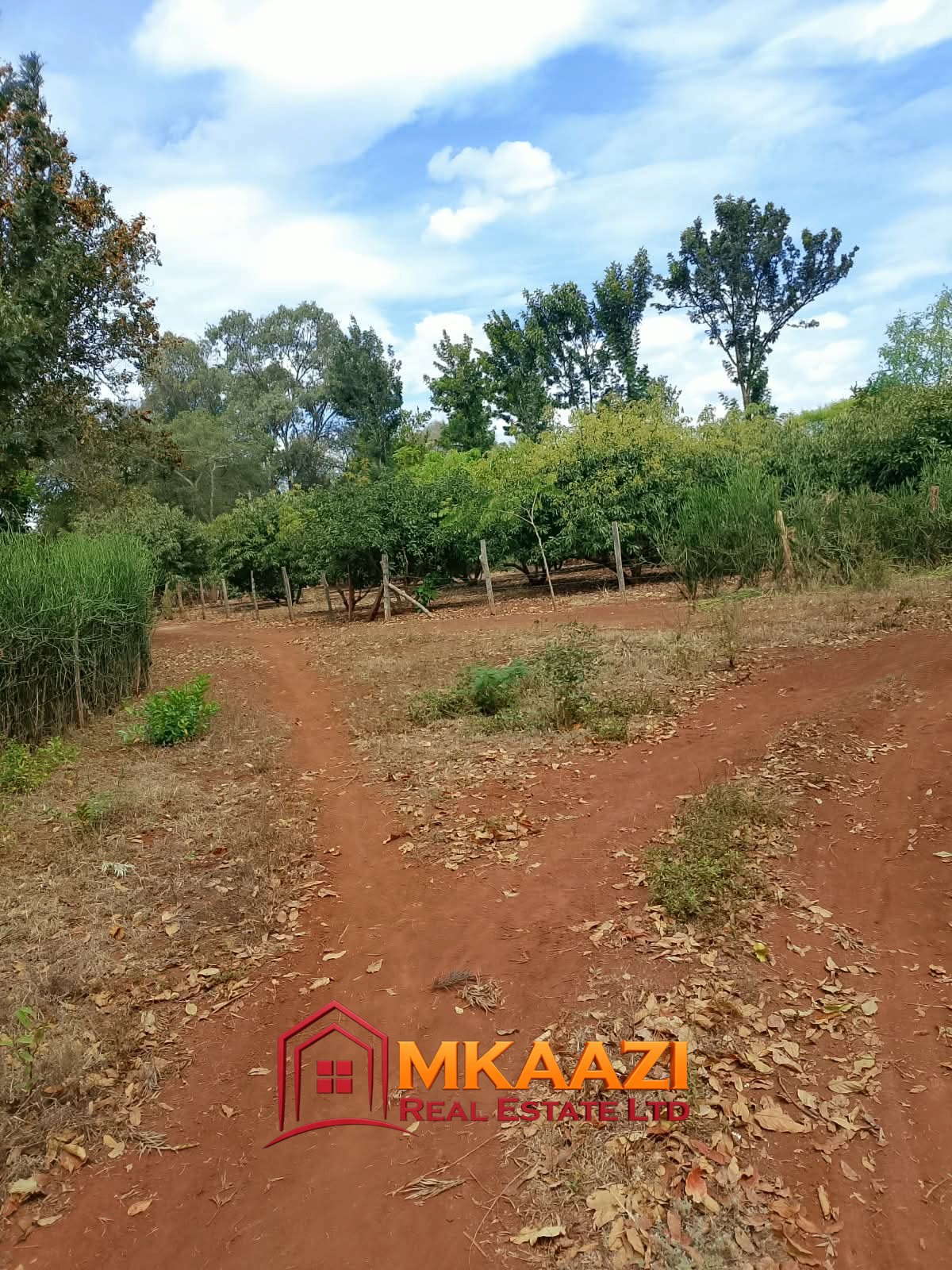 0.25 Acre land for sale redsoil in EMbu, Gachoka