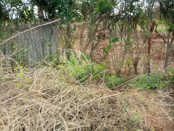 0.25 Acre land for sale redsoil in EMbu, Gachoka