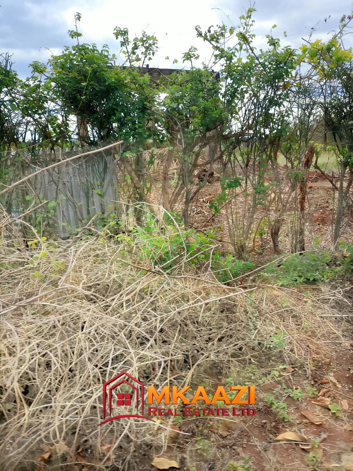 0.25 Acre land for sale redsoil in EMbu, Gachoka