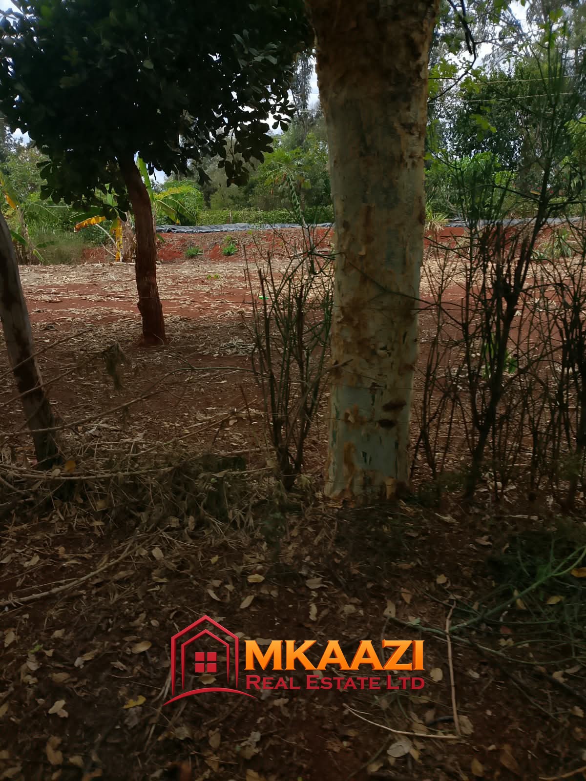 0.25 Acre land for sale redsoil in EMbu, Gachoka