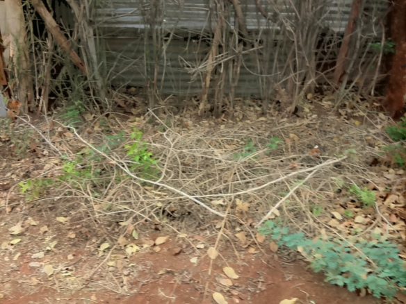 0.25 Acre land for sale redsoil in EMbu, Gachoka