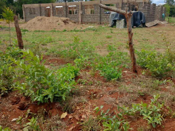 0.25 Acre land for sale redsoil in EMbu, Gachoka