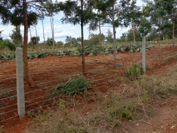 0.25 Acre land for sale redsoil in EMbu, Gachoka