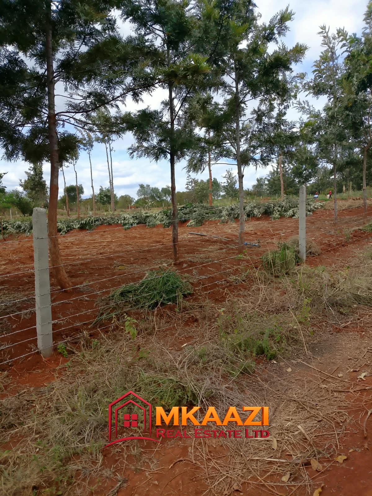0.25 Acre land for sale redsoil in EMbu, Gachoka