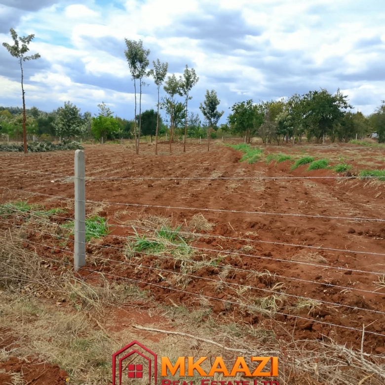 Affordable Quarter-Acre Plot for Sale in Gachoka, Embu – KSh 650,000