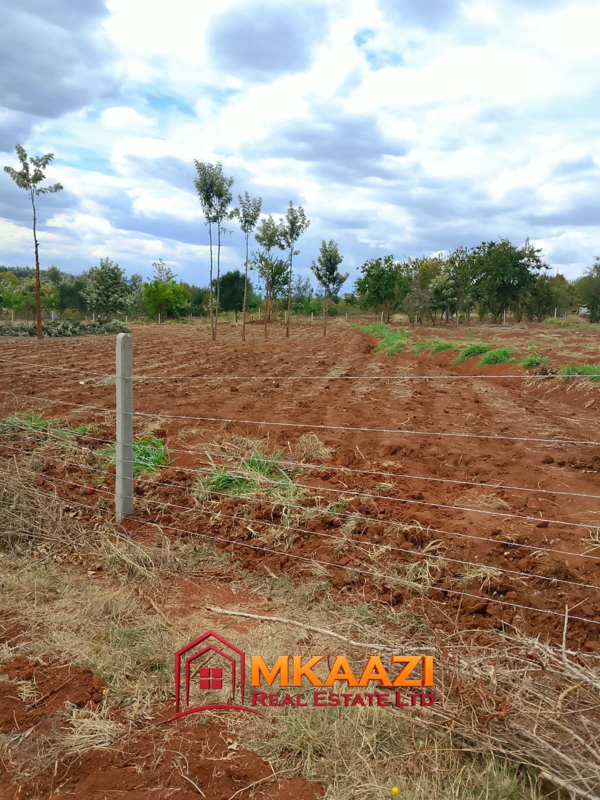 Affordable Quarter-Acre Plot for Sale in Gachoka, Embu – KSh 650,000