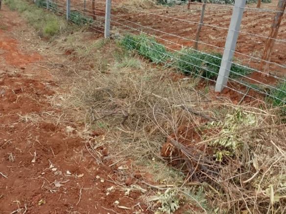 0.25 Acre land for sale redsoil in EMbu, Gachoka