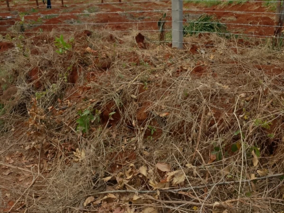 0.25 Acre land for sale redsoil in EMbu, Gachoka