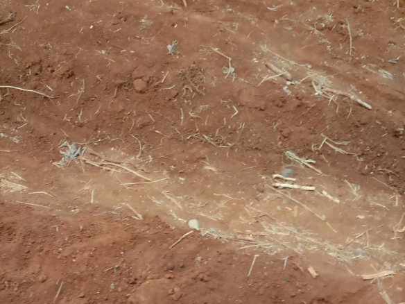 0.25 Acre land for sale redsoil in EMbu, Gachoka