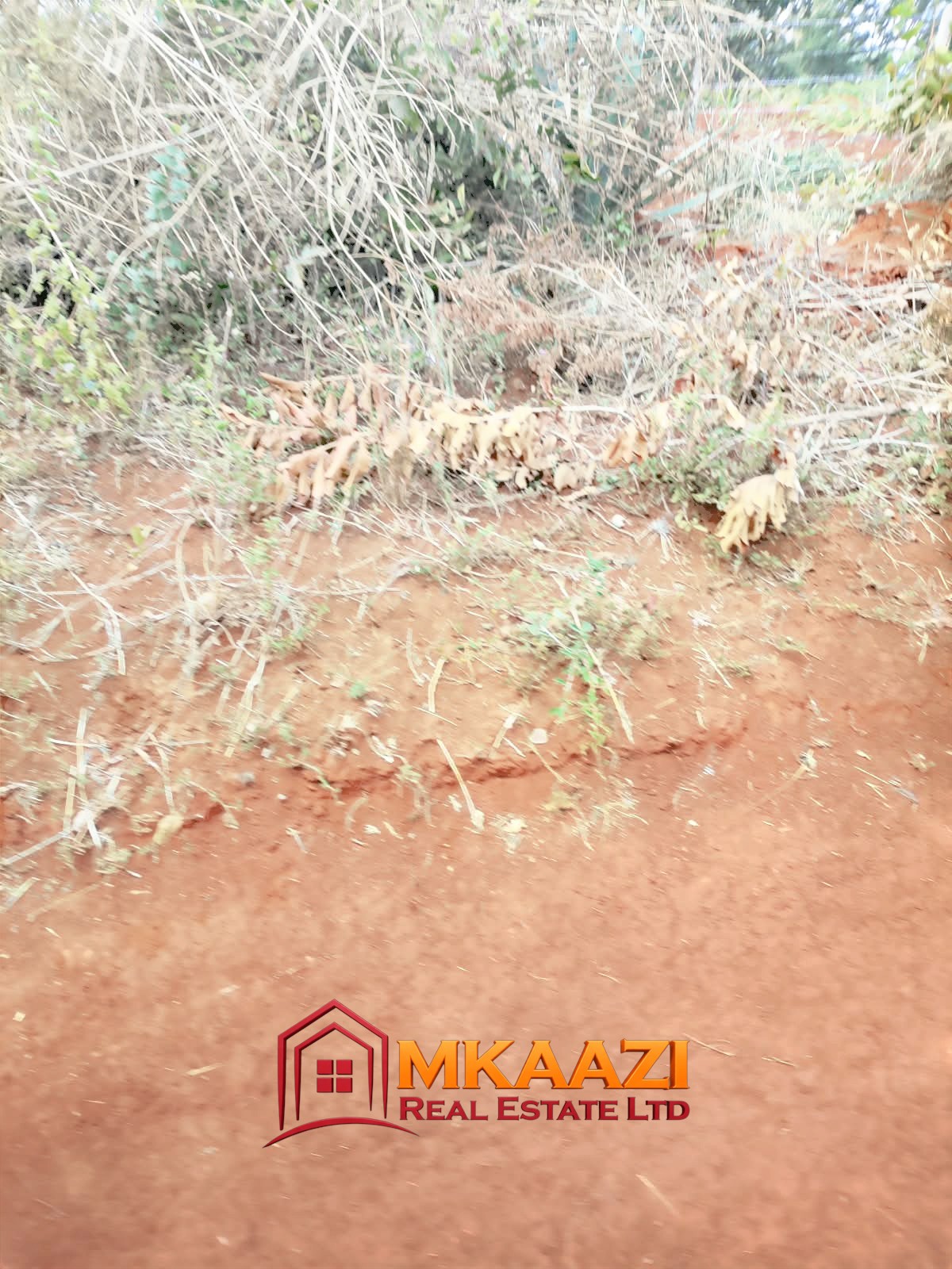 0.25 Acre land for sale redsoil in EMbu, Gachoka