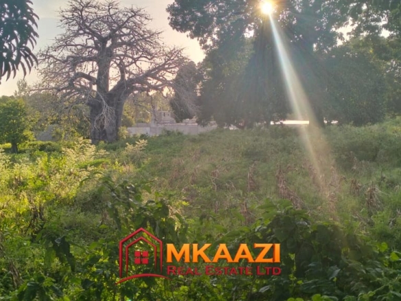 2-Acre Property for Sale in Msabaha, Malindi – KES 14M | Freehold Title