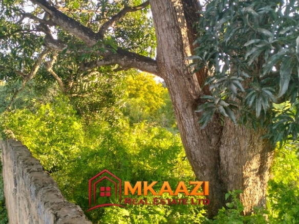 2-Acre Property for Sale in Msabaha, Malindi – KES 14M | Freehold Title
