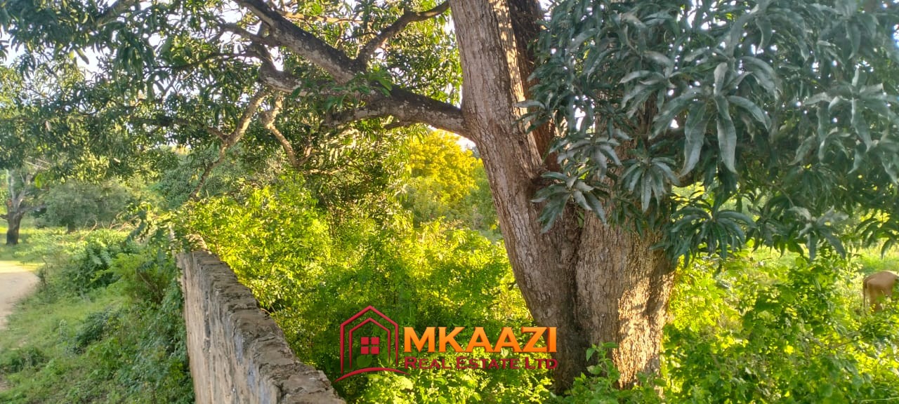 Ganda 2 Acres (4) 2-Acre Property for Sale in Msabaha, Malindi – KES 14M | Freehold Title