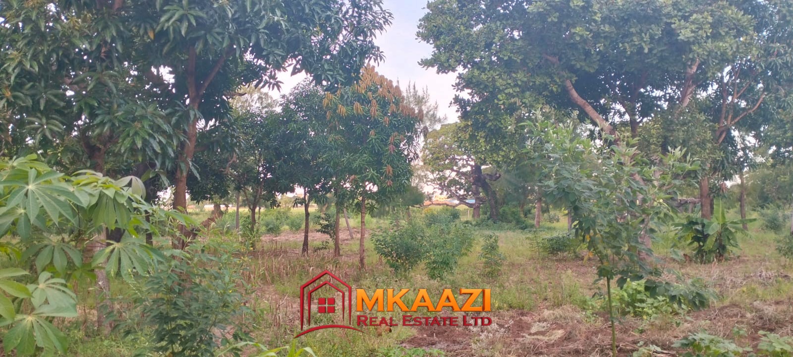 Ganda 2 Acres (6) 2-Acre Property for Sale in Msabaha, Malindi – KES 14M | Freehold Title