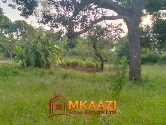 2-Acre Property for Sale in Msabaha, Malindi – KES 14M | Freehold Title