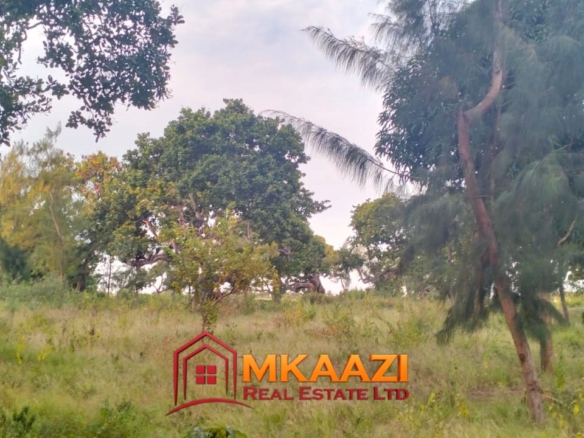 2-acre property for sale in Msabaha with mature mango and baobab trees, walled boundary and access road near tarmac