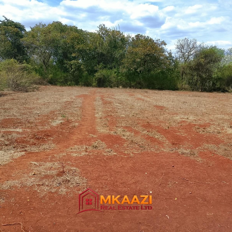 Half-acre red-soil residential plot for sale in Gachoka, Embu County.