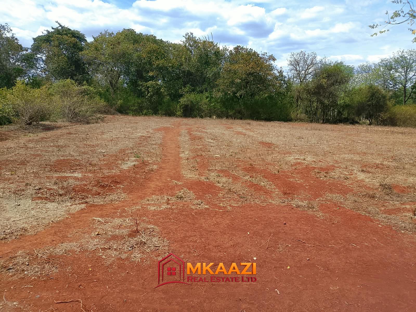 Half-acre red-soil residential plot for sale in Gachoka, Embu County.