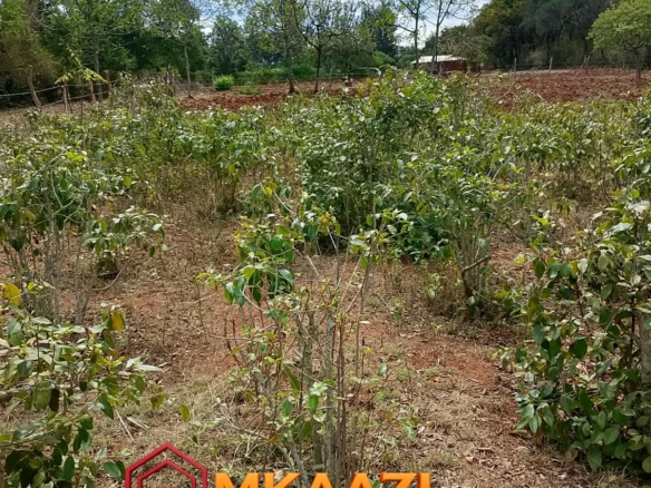 Commerci Half-Acre Residential Plot for Sale in Gachoka, Embu – KSh 1.7 Million