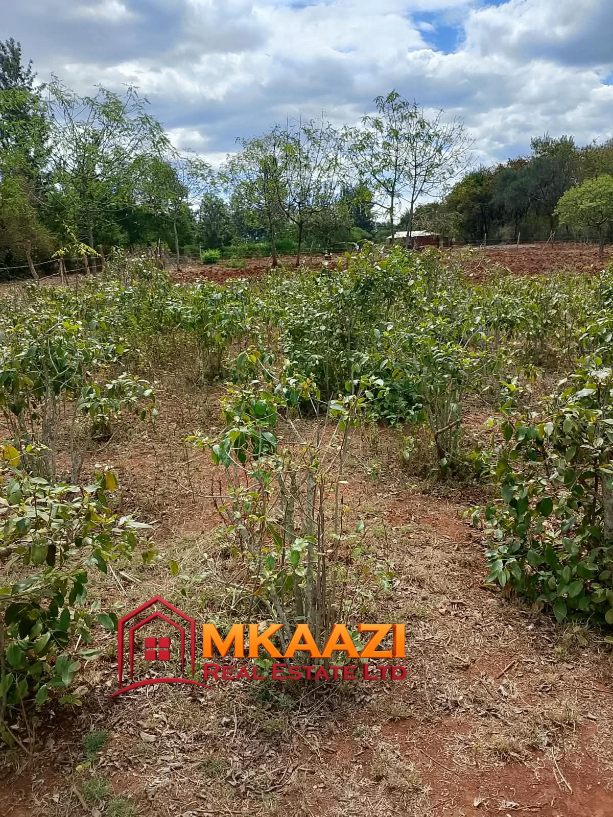 Commerci Half-Acre Residential Plot for Sale in Gachoka, Embu – KSh 1.7 Million