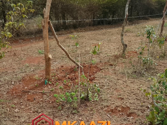 Commerci Half-Acre Residential Plot for Sale in Gachoka, Embu – KSh 1.7 Million