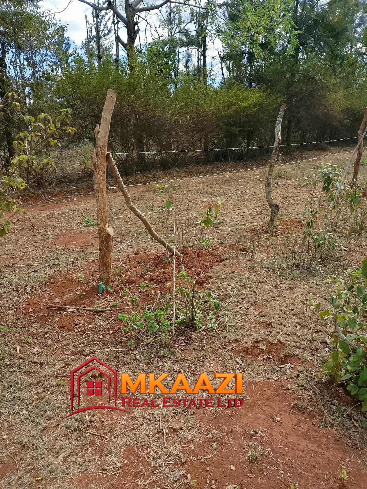 Commerci Half-Acre Residential Plot for Sale in Gachoka, Embu – KSh 1.7 Million