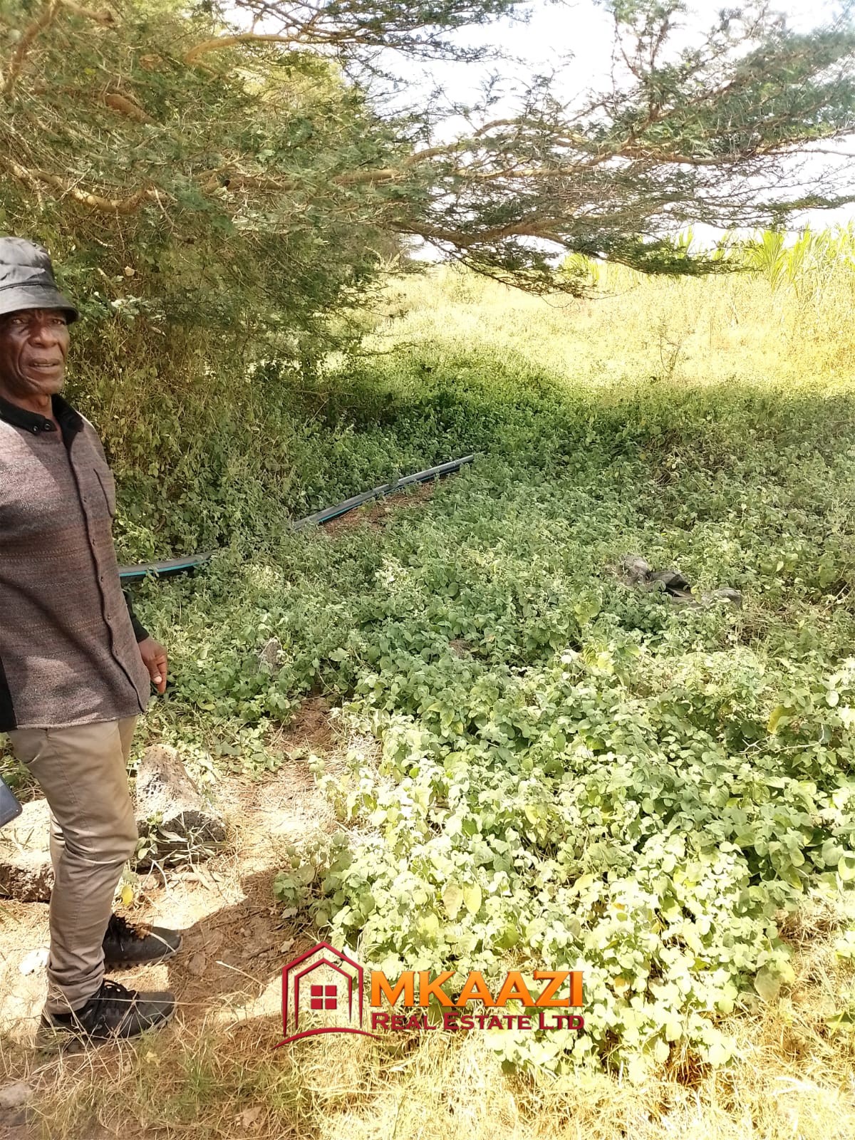 Large-scale agricultural ranch with flat red soil in Kitui