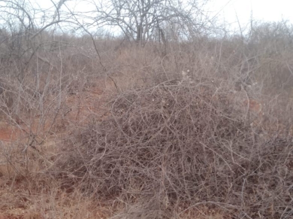 2,400-acre ranch for sale in Kitui with freehold title