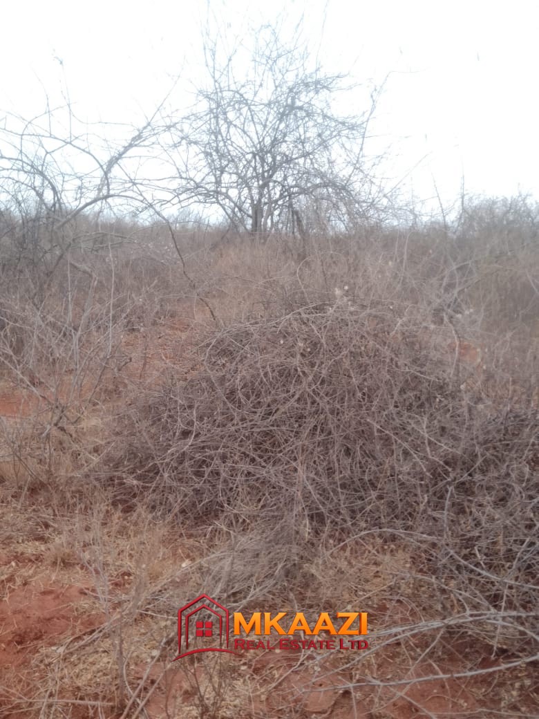2,400-acre ranch for sale in Kitui with freehold title