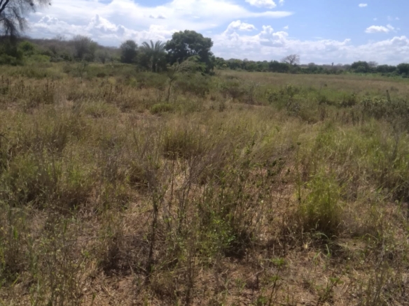 Freehold ranch land for sale near River Athi in Kitui