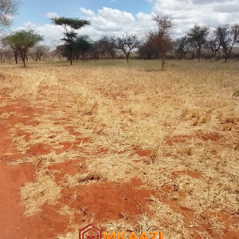 Flat red-soil ranch land suitable for agricultural assessment in Kitui