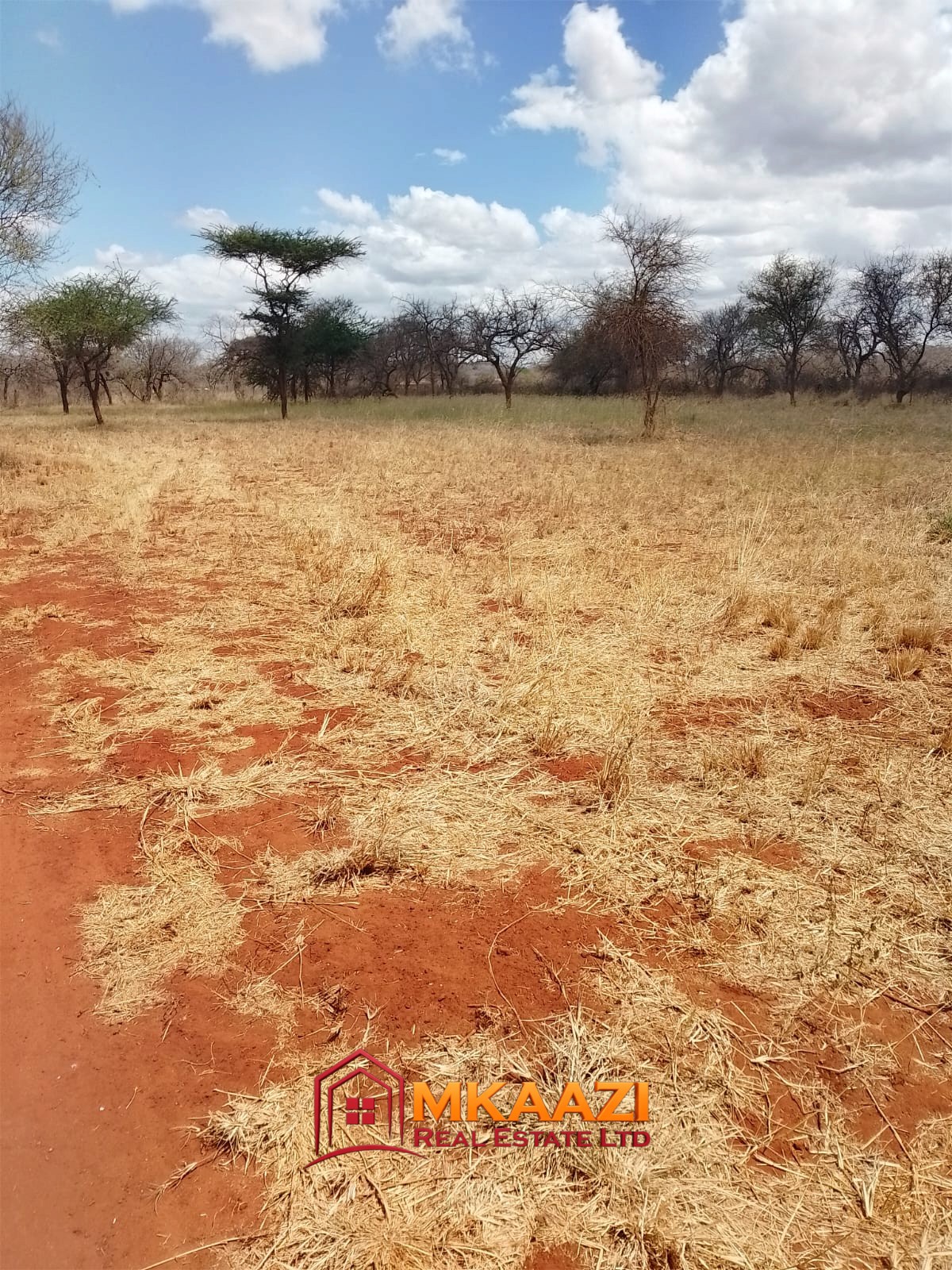 Flat red-soil ranch land suitable for agricultural assessment in Kitui