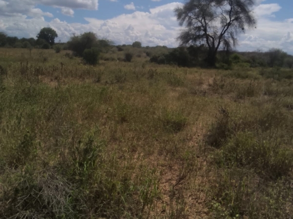Large agricultural ranch investment opportunity in Kitui County