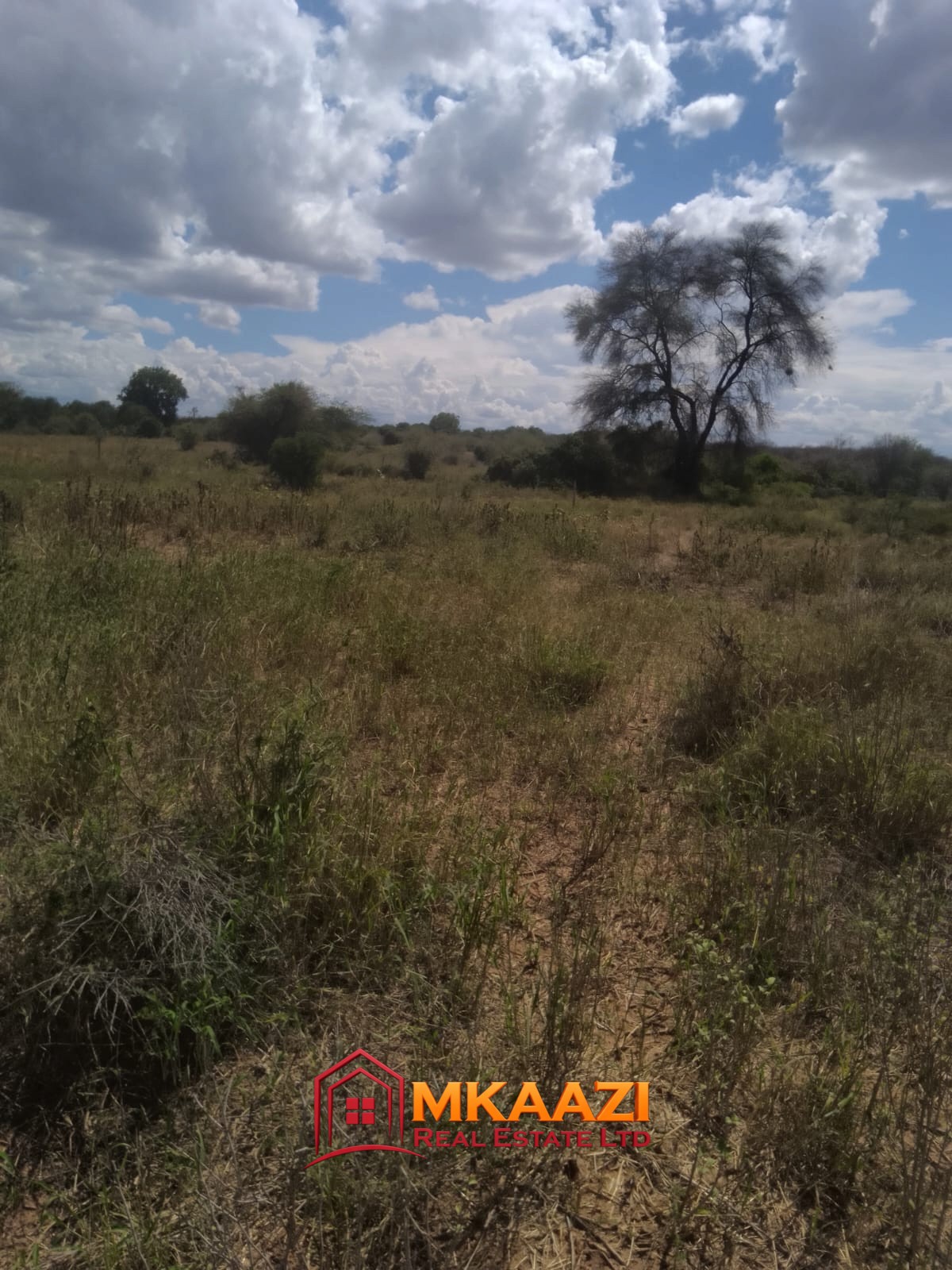 Large agricultural ranch investment opportunity in Kitui County