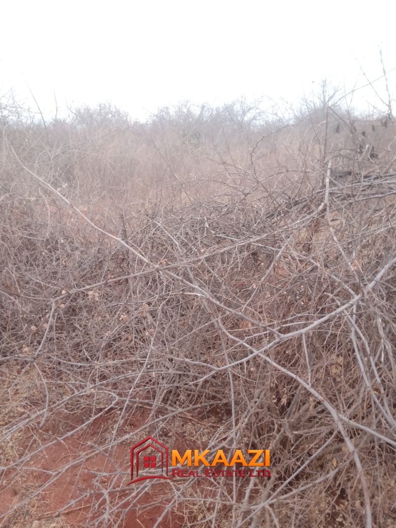 2,400-acre farming ranch near Mukwanima Primary School