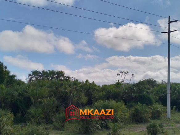 One-acre investment plots along the Lamu Port dual carriageway