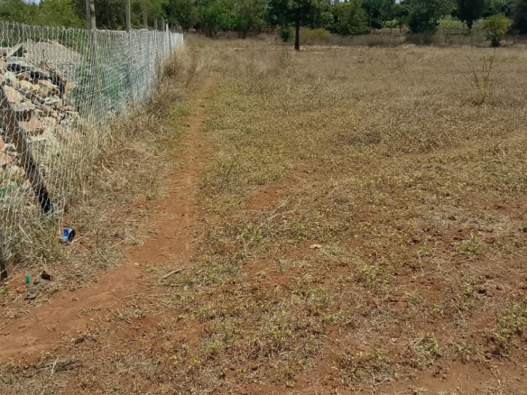 Quarter-acre plot for sale in Gachoka, Embu County, Kenya.