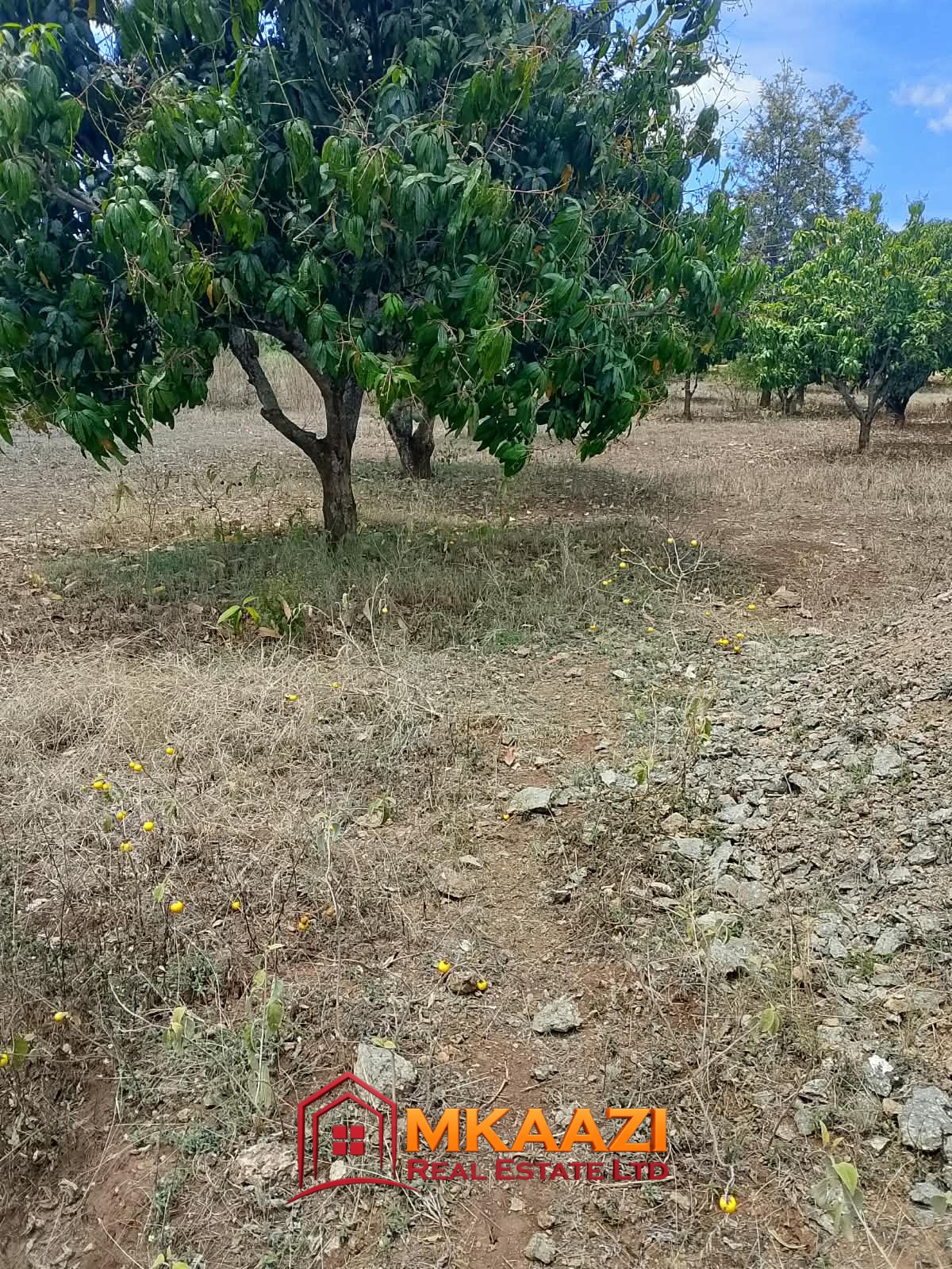 Commercial Quarter-Acre Plot for Sale in Gachoka, Embu – KSh 650,000