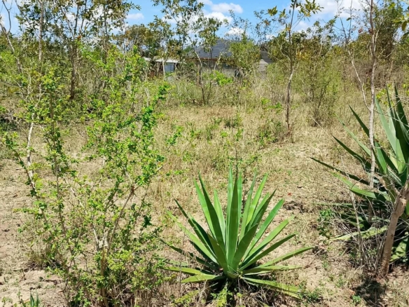 1/8 Acre Plots for Sale in Kanyariri, Embu – KSh 550,000