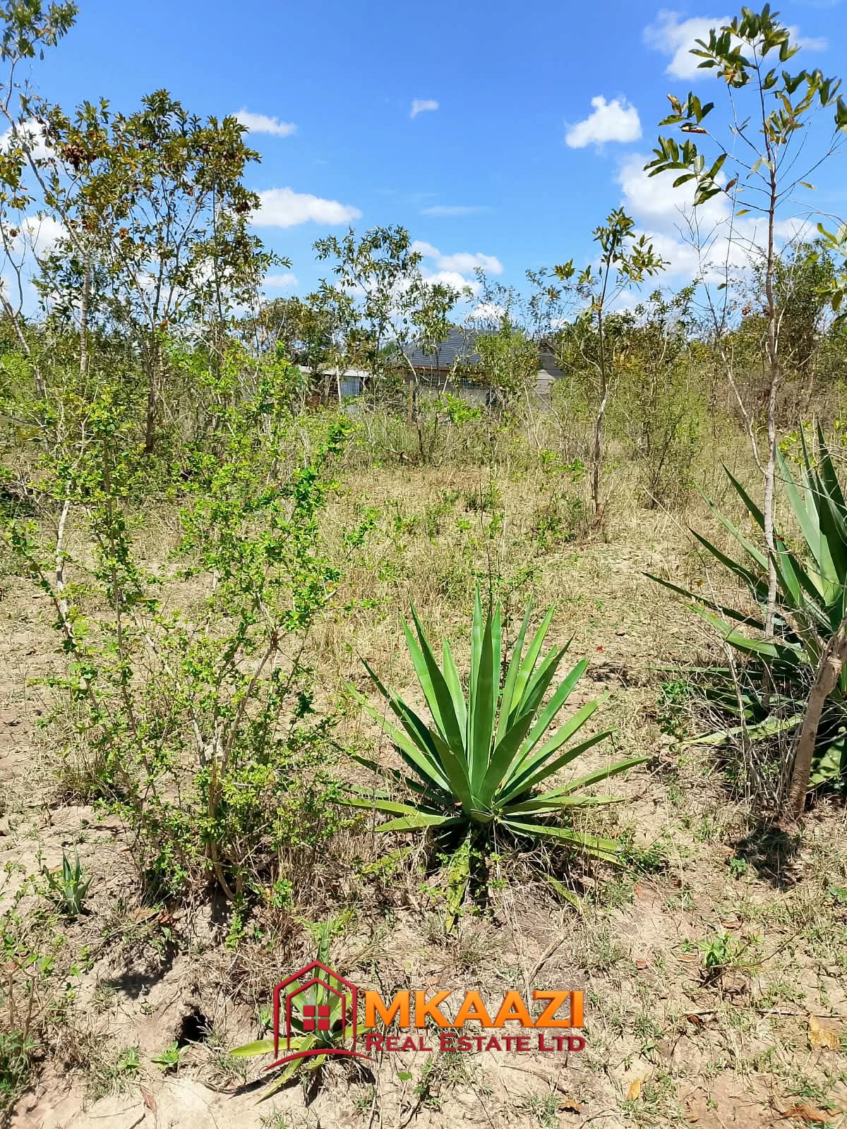 1/8 Acre Plots for Sale in Kanyariri, Embu – KSh 550,000