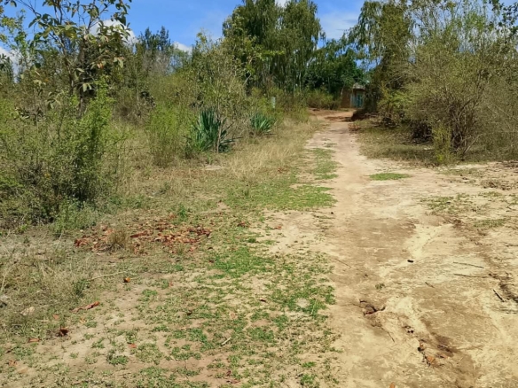 1/8 Acre Plots for Sale in Kanyariri, Embu – KSh 550,000