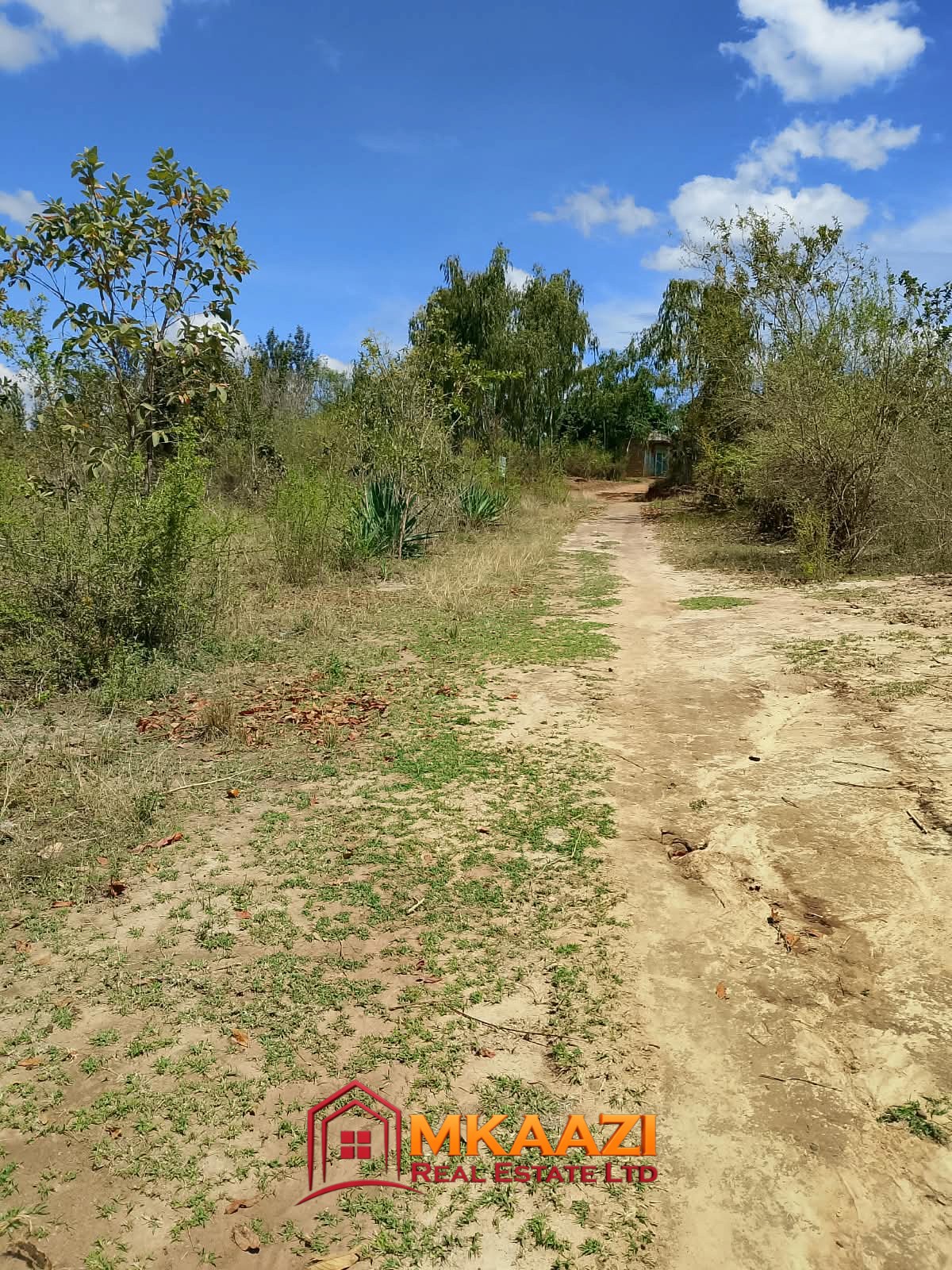 1/8 Acre Plots for Sale in Kanyariri, Embu – KSh 550,000